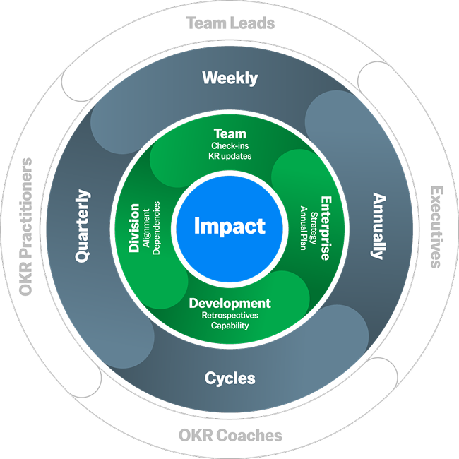 Team-to-Impact Cycle